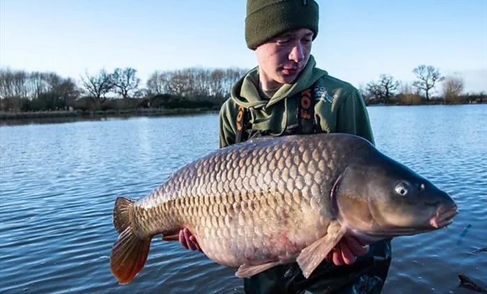 LOFTY 34lb